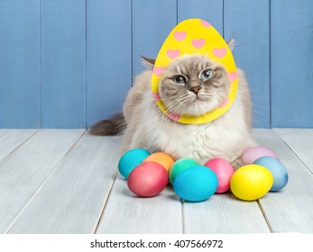 Easter Cat With Eggs