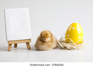Easter Chick on table, frame