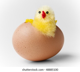 Easter chicken hatching out of egg