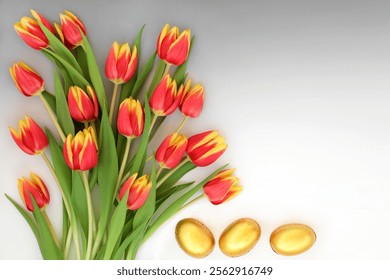  flowers background 