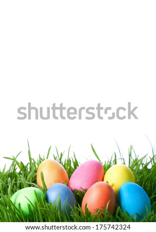 Similar – Image, Stock Photo Easter hunt Joy Happy