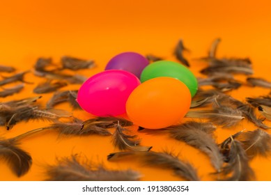 Easter easter colorful eggs and feathers spring colors eggs,spring season holidays concept.