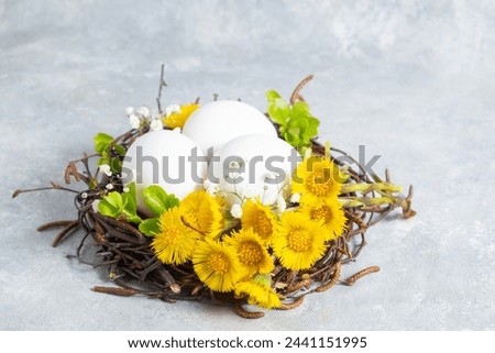  Easter composition in a natural style. Spring flowers arrangements with yellow flowers Tussilago farfara and eggs in the nest. creative floral decoration. side view
