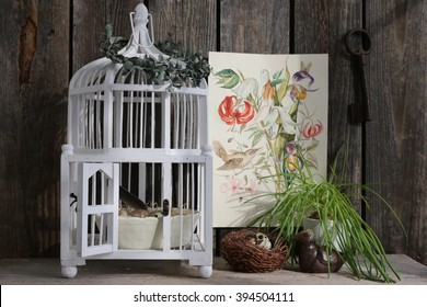 Easter composition with white wooden birdcage, ceramic bird, nest, quail eggs, spring watercolor picture