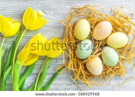 Easter concept eggs in nest top view close up