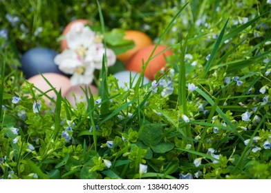 Easter concept. Easter eggs on the grass.