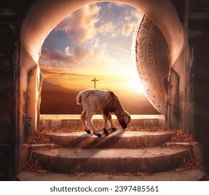 Easter concept: a lamb in Empty tomb stone with cross on  sunrise background