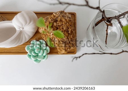 Easter concept. Shell rock, cactus, candle, tree branch with green leaves in a glass vase. White table, light background. Wooden plate. Ceramic seashell.