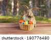easter bunny basket
