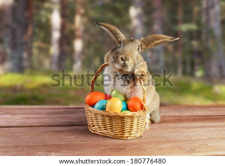 Easter cute bunny sitting with basket of colored eggs on background of spring nature