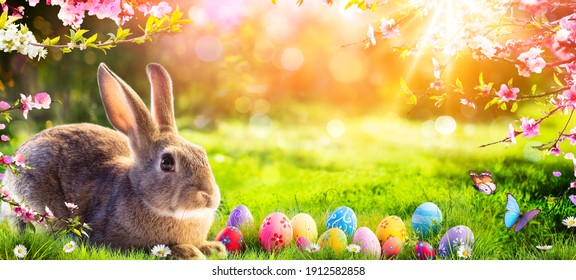 Easter - Cute Bunny In Sunny Garden With Decorated Eggs