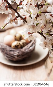 Easter decoration. blossoming branch, nest with eggs on a wooden background