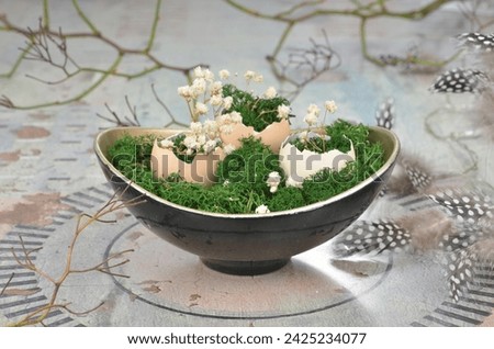 Easter decoration: egg shells with moss and white flowers on black plate on grey background. 