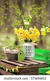 Easter Decoration With Spring Flowers, Narcissus Blooms. Spring Flowers In Pots In The Garden. Easter Sunday