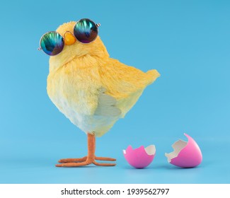 Easter decoration of a yellow chick wearing silly sunglasses with a pink cracked, hatched Easter egg.