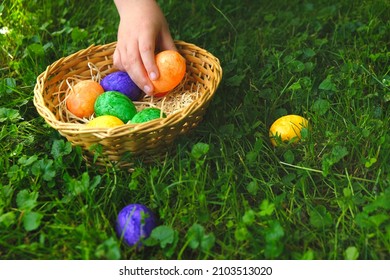 Easter Egg. Collecting Easter Eggs. Child Collects Easter Eggs And Puts In A Basket In The Spring Garden.Colorful Easter Eggs. Religious Holiday Tradition.