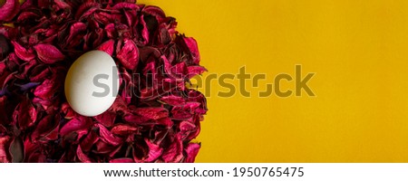 Easter Egg decroation on yellow banner with copy space.