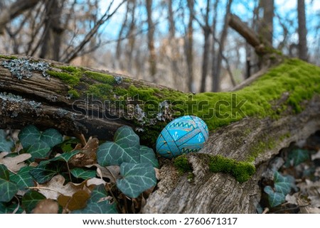 Easter Egg in Forest captured interacting naturally in an outdoor setting, in a natural environment, under daylight, with a natural mood, suitable for wildlife, conservation, and nature education content, reflecting An Easter egg with a blue and yellow design is placed on a mossy log in a forested area.
