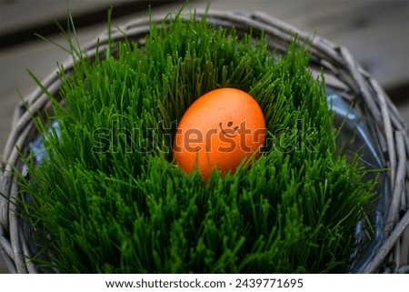Easter Egg Hunt celebration holiday