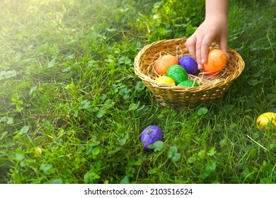 Easter Egg Hunt. Collecting Easter Eggs. Child Collects Easter Eggs And Puts In A Basket In The Spring Garden. Religious Holiday Tradition.