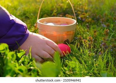 Easter Egg Hunt. Collecting Easter Eggs.Colorful Easter Eggs. Religious Holiday Tradition.Child Collects Eggs And Puts In A Basket.Spring Religious Holiday