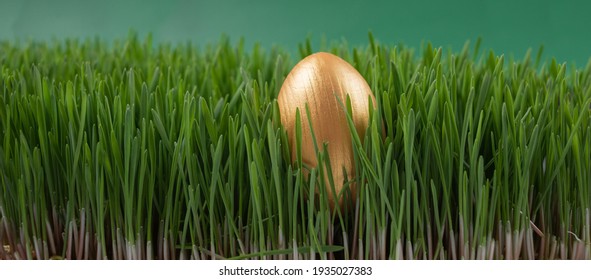 Easter Egg Hunt. Easter Holiday. Looking For Easter Eggs In The Grass. Golden Painted Egg In Spring Grass Spring Holiday Easter Background. Banner