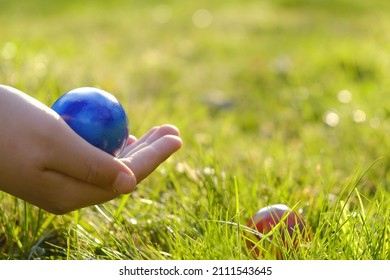 Easter Egg Hunt.Child Hand Collect Eggs In The Spring Garden. Collecting Easter Eggs. Colorful Easter Eggs. 