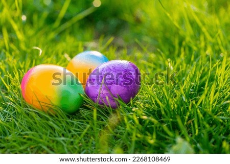 Easter Egg.multicolored painted eggs in green grass.Easter food.Spring religious holiday.Easter Egg Hunt.Collection of colored eggs. holiday tradition 