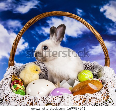 Easter, eggs, chicken