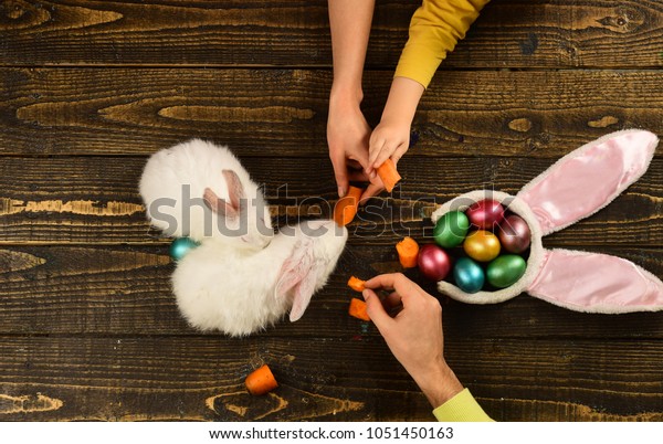 easter eggs color egg assortment shop stock photo edit now