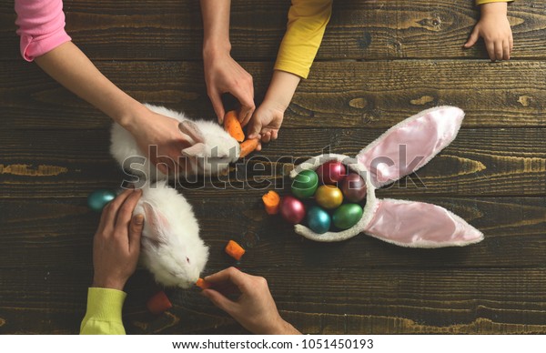 easter eggs color egg assortment shop stock photo edit now