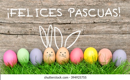Easter eggs cute bunny. Funny decoration. Ã?Â¡Felices Pascuas! - Happy Easter in spanish - Shutterstock ID 394925755
