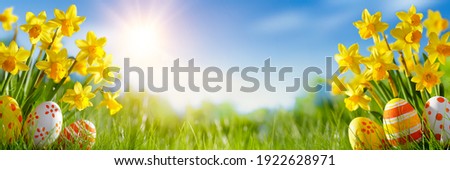 Easter eggs and daffodil flower on meadow