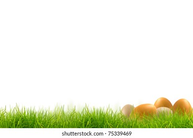 Easter eggs in Fresh spring green grass panorama isolated on white background.