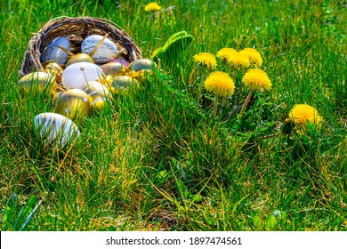 Easter eggs. Golden egg with yellow spring flowers in celebration basket on green grass background. Congratulatory easter design - Shutterstock ID 1897474561