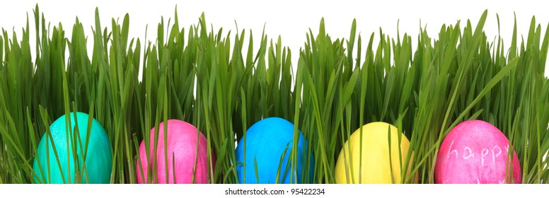 easter eggs in grass