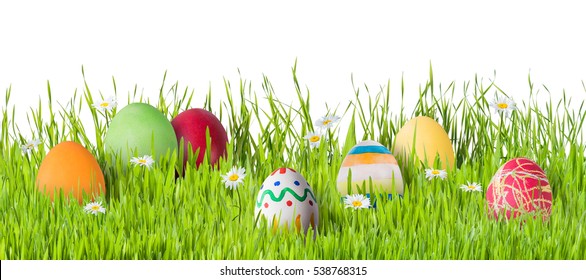 Easter eggs in grass with flowers isolated on white background, for your design