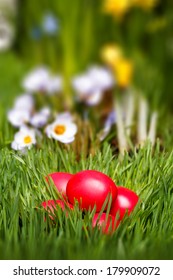 Easter eggs in a green grass 