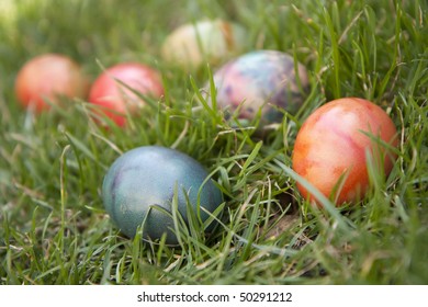 Easter eggs in green grass