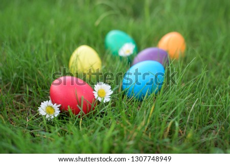 Similar – Image, Stock Photo Easter hunt Joy Happy