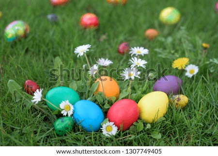 Similar – Easter eggs in a garden