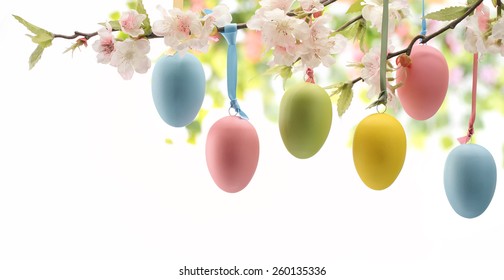 Easter Eggs Hanging On Plum Branch