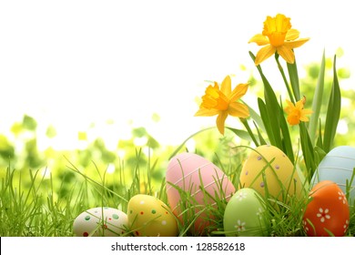 Easter Eggs Hiding In The Grass With Daffodil