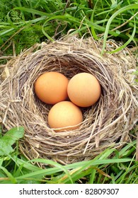 easter eggs in the nest