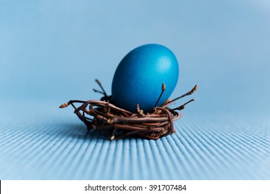 Easter eggs in nest on blue background