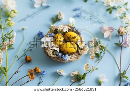 Easter flat lay. Stylish easter eggs in nest and spring flowers on blue background. Easter modern floral banner. Season greetings