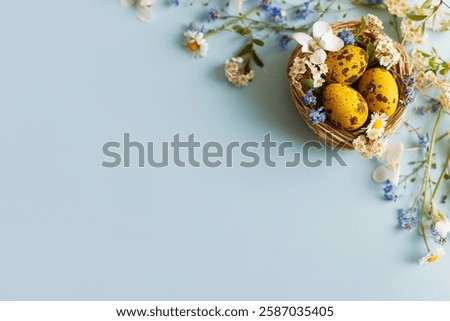 Easter flat lay. Stylish easter eggs and spring flowers in nest on blue background, space for text. Easter modern minimal banner. Season greetings mockup