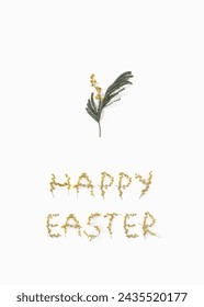 Easter Greetings happy easter postcard template. Yellow mimosa flowers and branches. Top view. Flat lay