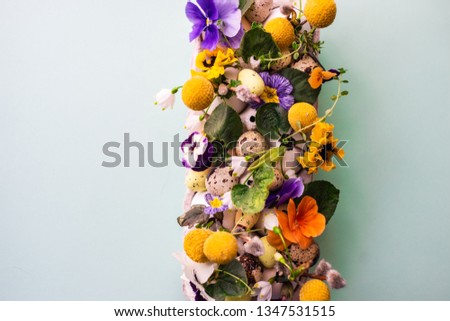 Similar – Honig im Glas mit Schöpflöffel, Bienenwaben und wilden Blumen