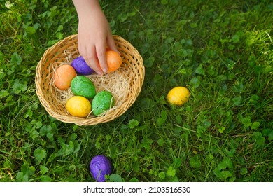 Easter Hunt. Collecting Easter Eggs. Child Collects Eggs And Puts In A Basket In The Spring Garden.Colorful Easter Eggs. Religious Holiday Tradition.Easter Egg Hunt.